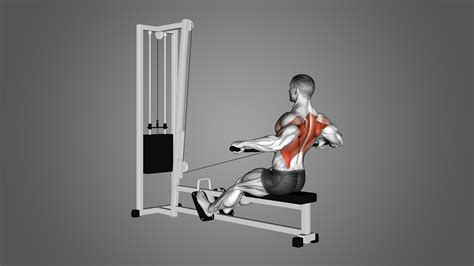 cable row gif|close grip row gif.